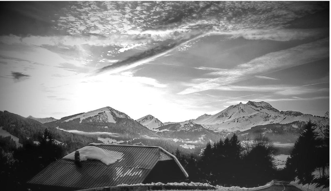 Mazot Hirondelle Morzine