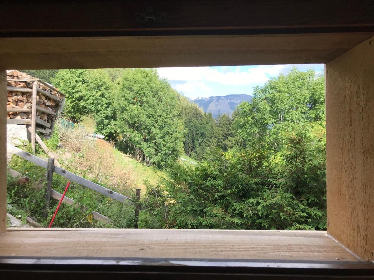 Mazot Hirondelle * Morzine