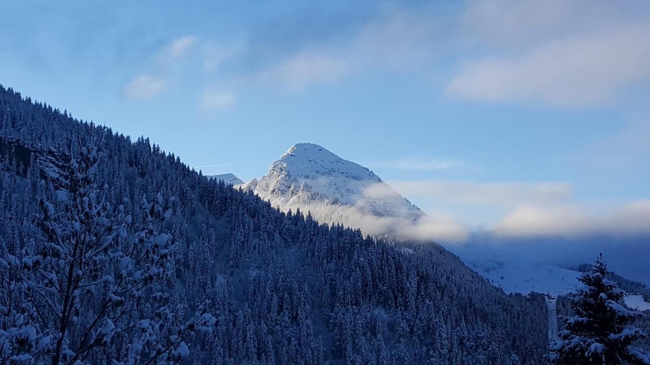 Chalet Mazot Hirondelle *